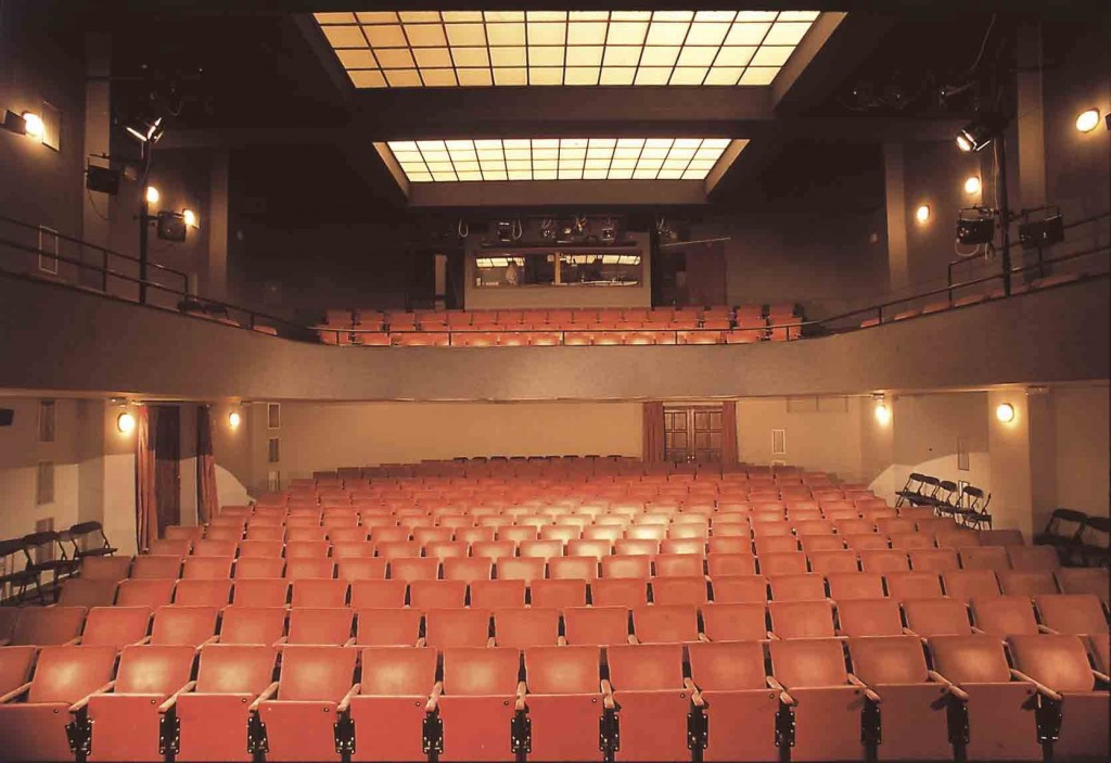 12-theatre-auditorium_